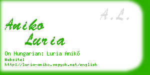 aniko luria business card